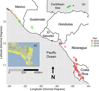 A cultural atlas of vocal variation: yellow-naped amazons exhibit contact call dialects throughout their Mesoamerican range